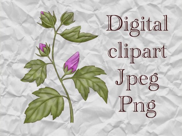 Download Hibiscus Flower Branch Clipart - Branch Collection